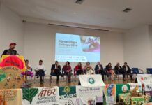 Template Colunistas – Yhuldes Giovani