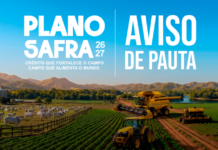 Template Colunistas – Yhuldes Giovani