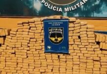 Template Colunistas – Yhuldes Giovani