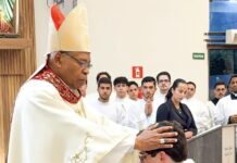 Template Colunistas – Yhuldes Giovani