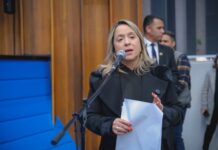Template Colunistas – Yhuldes Giovani