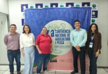 Template Colunistas – Yhuldes Giovani
