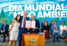 Template Colunistas – Yhuldes Giovani