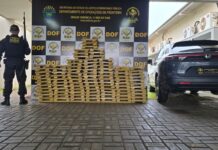 Template Colunistas – Yhuldes Giovani