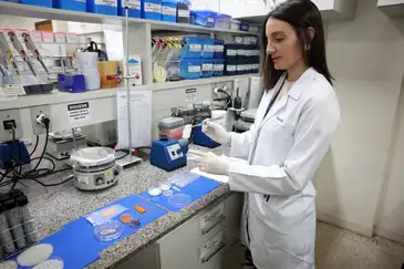 Carne de laboratório: conheça a técnica desenvolvida pela Embrapa Carne de laboratório: conheça a técnica desenvolvida pela Embrapa