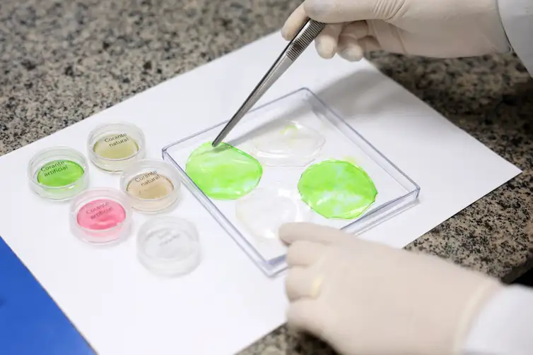Carne de laboratório: conheça a técnica desenvolvida pela Embrapa Carne de laboratório: conheça a técnica desenvolvida pela Embrapa