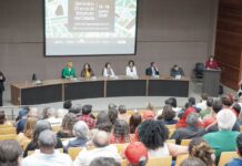 Template Colunistas – Yhuldes Giovani