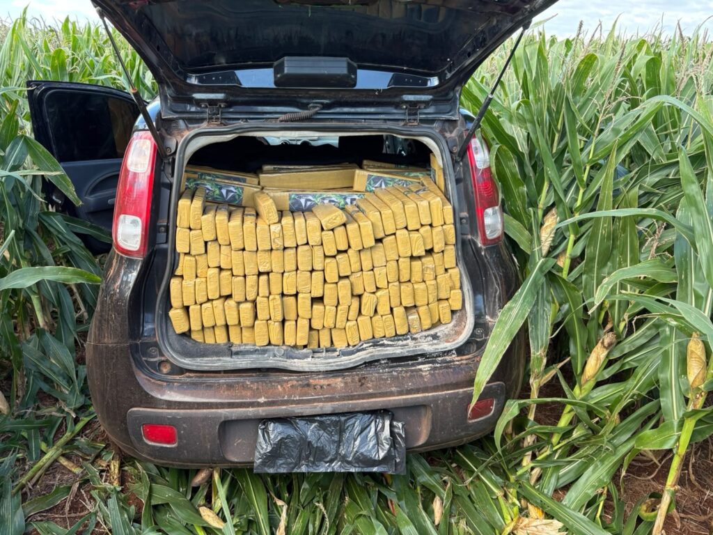 PRF apreende 1,9 tonelada de maconha na BR-060