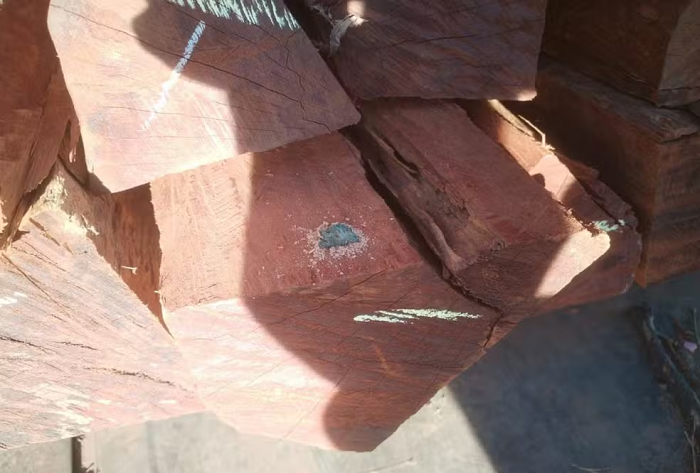Cão farejador ajudou encontrar cocaína diluída em carga de madeira, que pode ser a maior da história do Brasil Cão farejador ajudou encontrar cocaína diluída em carga de madeira, que pode ser a maior da história do Brasil