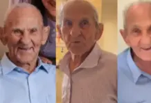 Template Colunistas – Yhuldes Giovani