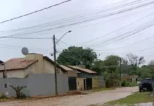 Template Colunistas – Yhuldes Giovani
