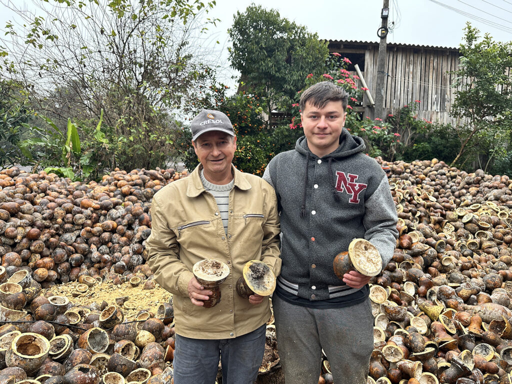 Plano Safra: produtor gaúcho usa linha de custeio para cultivo de porongos Plano Safra: produtor gaúcho usa linha de custeio para cultivo de porongos