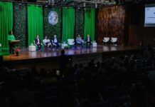 Template Colunistas – Yhuldes Giovani