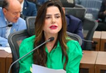 Template Colunistas – Yhuldes Giovani