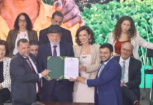 Template Colunistas – Yhuldes Giovani