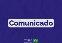 Template Colunistas – Yhuldes Giovani