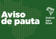 Template Colunistas – Yhuldes Giovani
