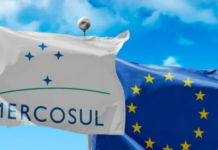 Template Colunistas – Yhuldes Giovani
