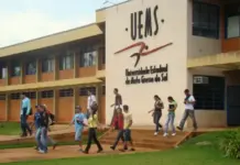 Template Colunistas – Yhuldes Giovani