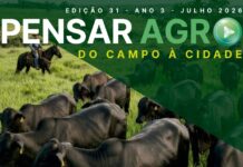 Template Colunistas – Yhuldes Giovani