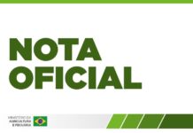 Template Colunistas – Yhuldes Giovani