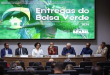 Template Colunistas – Yhuldes Giovani