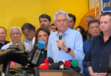 Template Colunistas – Yhuldes Giovani