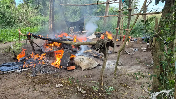 En dos operativos antidrogas destruyen 45 hectáreas de cultivos de supuesta marihuana en Puentesiño En dos operativos antidrogas destruyen 45 hectáreas de cultivos de supuesta marihuana en Puentesiño