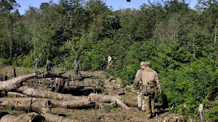 En dos operativos antidrogas destruyen 45 hectáreas de cultivos de supuesta marihuana en Puentesiño En dos operativos antidrogas destruyen 45 hectáreas de cultivos de supuesta marihuana en Puentesiño