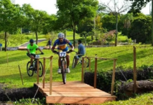 Template Colunistas – Yhuldes Giovani