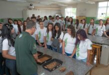 Template Colunistas – Yhuldes Giovani