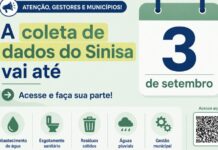 Template Colunistas – Yhuldes Giovani