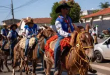 Template Colunistas – Yhuldes Giovani