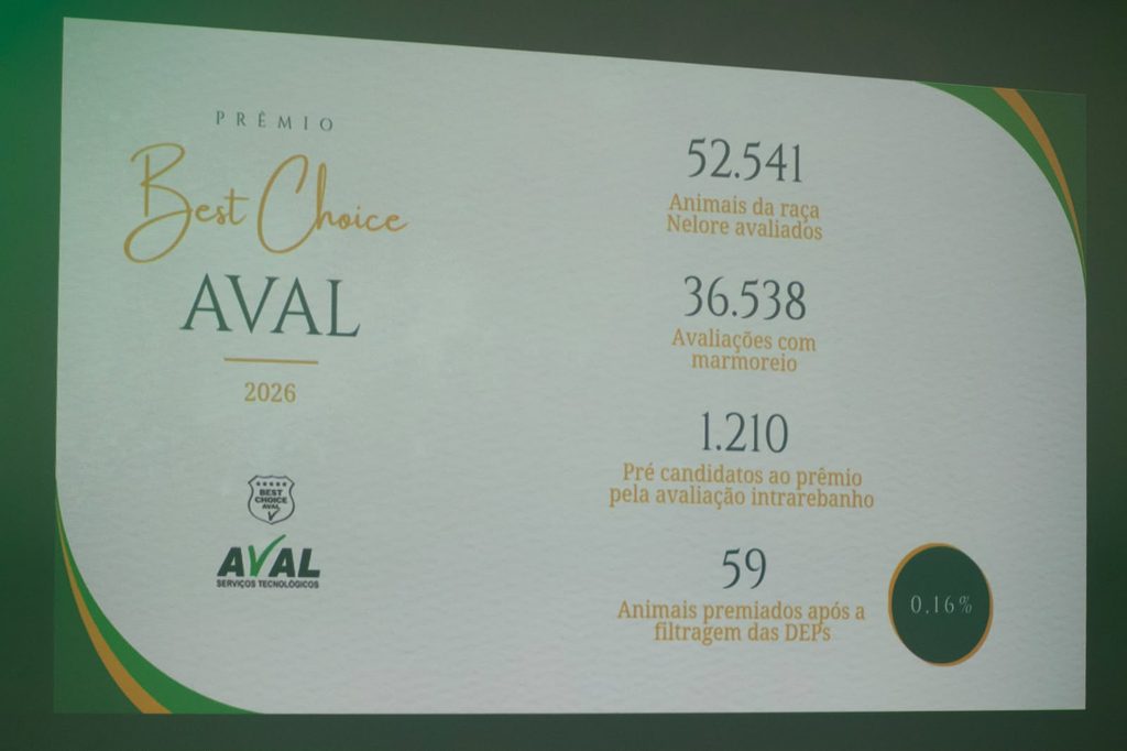 Genética de Maracaju é selecionada entre 52 mil animais Nelore e ganha destaque no maior palco do melhoramento