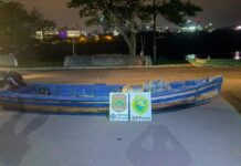 Template Colunistas – Yhuldes Giovani