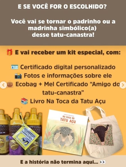 Campanha busca nome para tatu-canastra monitorado em Mato Grosso do Sul Campanha busca nome para tatu-canastra monitorado em Mato Grosso do Sul
