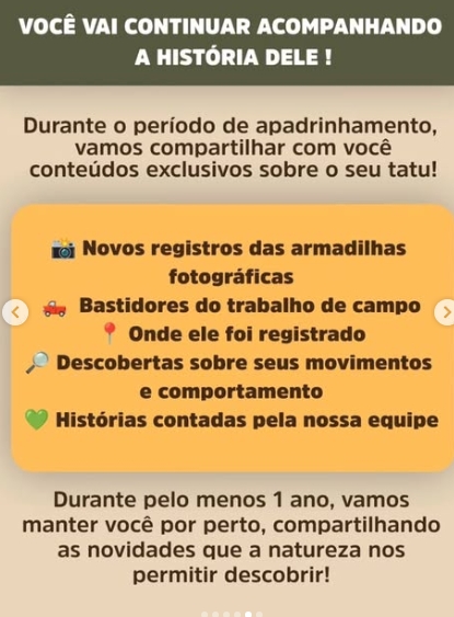 Campanha busca nome para tatu-canastra monitorado em Mato Grosso do Sul Campanha busca nome para tatu-canastra monitorado em Mato Grosso do Sul