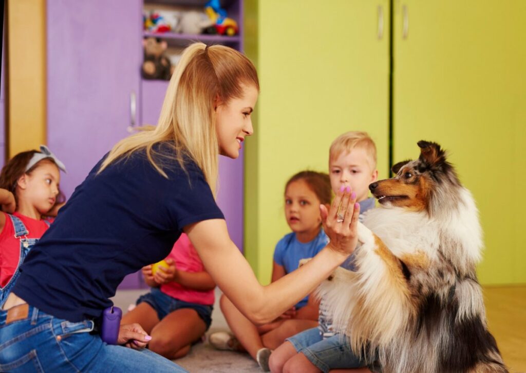 Pets na escola: estratégia pode contribuir para autorregulação e aprendizagem Pets na escola: estratégia pode contribuir para autorregulação e aprendizagem