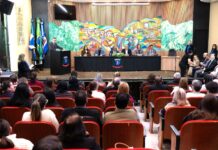 Template Colunistas – Yhuldes Giovani