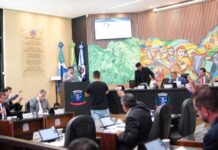 Template Colunistas – Yhuldes Giovani