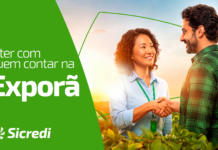 Template Colunistas – Yhuldes Giovani