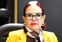 Template Colunistas – Yhuldes Giovani