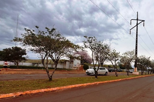 Ipês e outras árvores dão flores e colorem bairros e centro de Ponta Porã Ipês e outras árvores dão flores e colorem bairros e centro de Ponta Porã