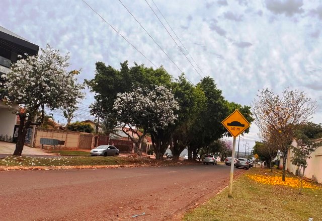 Ipês e outras árvores dão flores e colorem bairros e centro de Ponta Porã Ipês e outras árvores dão flores e colorem bairros e centro de Ponta Porã