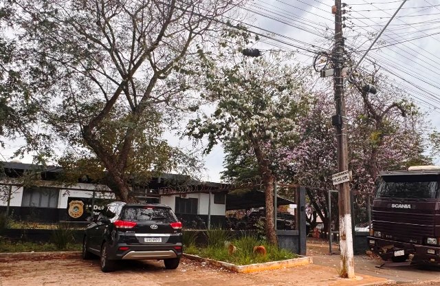 Ipês e outras árvores dão flores e colorem bairros e centro de Ponta Porã Ipês e outras árvores dão flores e colorem bairros e centro de Ponta Porã