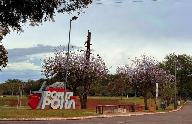 Ipês e outras árvores dão flores e colorem bairros e centro de Ponta Porã Ipês e outras árvores dão flores e colorem bairros e centro de Ponta Porã
