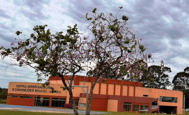 Ipês e outras árvores dão flores e colorem bairros e centro de Ponta Porã Ipês e outras árvores dão flores e colorem bairros e centro de Ponta Porã