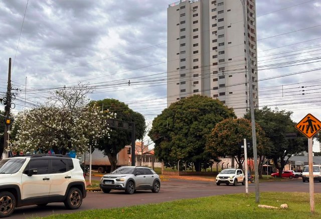 Ipês e outras árvores dão flores e colorem bairros e centro de Ponta Porã Ipês e outras árvores dão flores e colorem bairros e centro de Ponta Porã