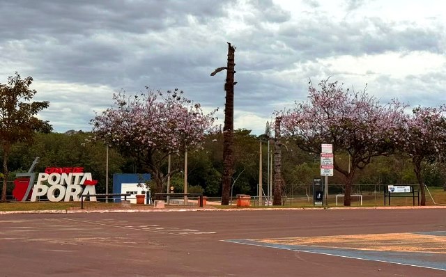 Ipês e outras árvores dão flores e colorem bairros e centro de Ponta Porã Ipês e outras árvores dão flores e colorem bairros e centro de Ponta Porã
