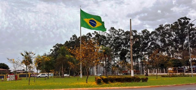 Ipês e outras árvores dão flores e colorem bairros e centro de Ponta Porã Ipês e outras árvores dão flores e colorem bairros e centro de Ponta Porã